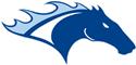 Veranstaltungsbild Flag Football Celle Stallions